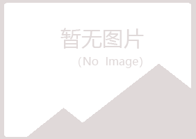 黑龙江冰夏计算机有限公司